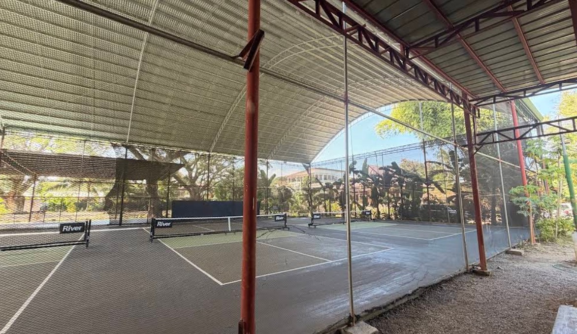Pickle Turf court photo